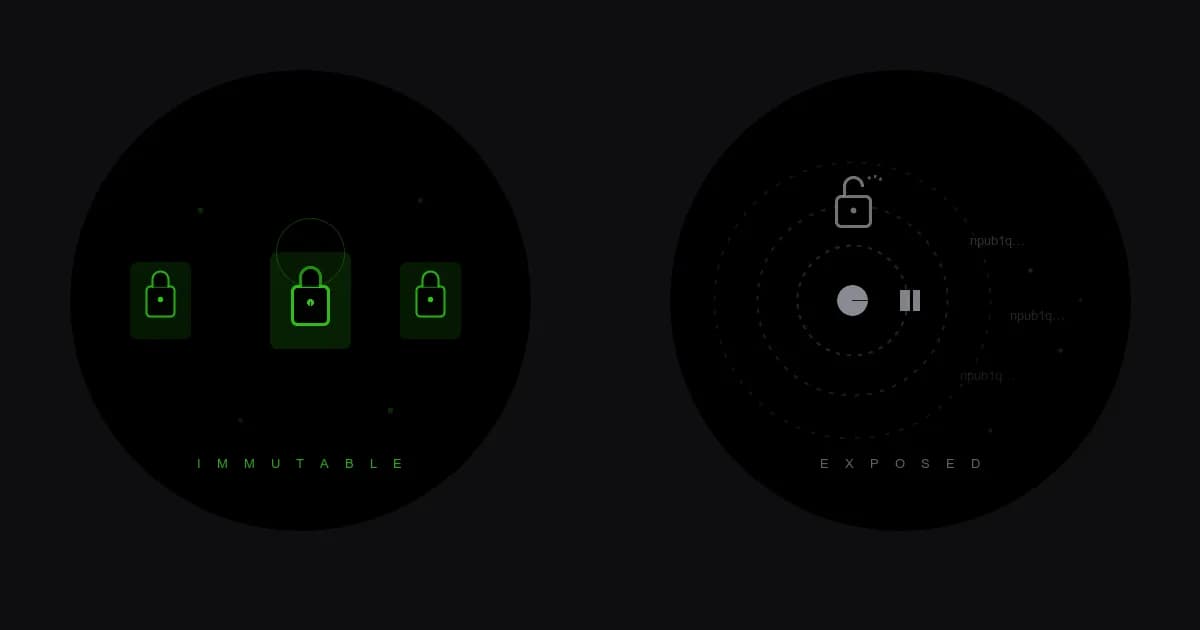 the immutable and the exposed: bitcoin protects its past, nostr cannot